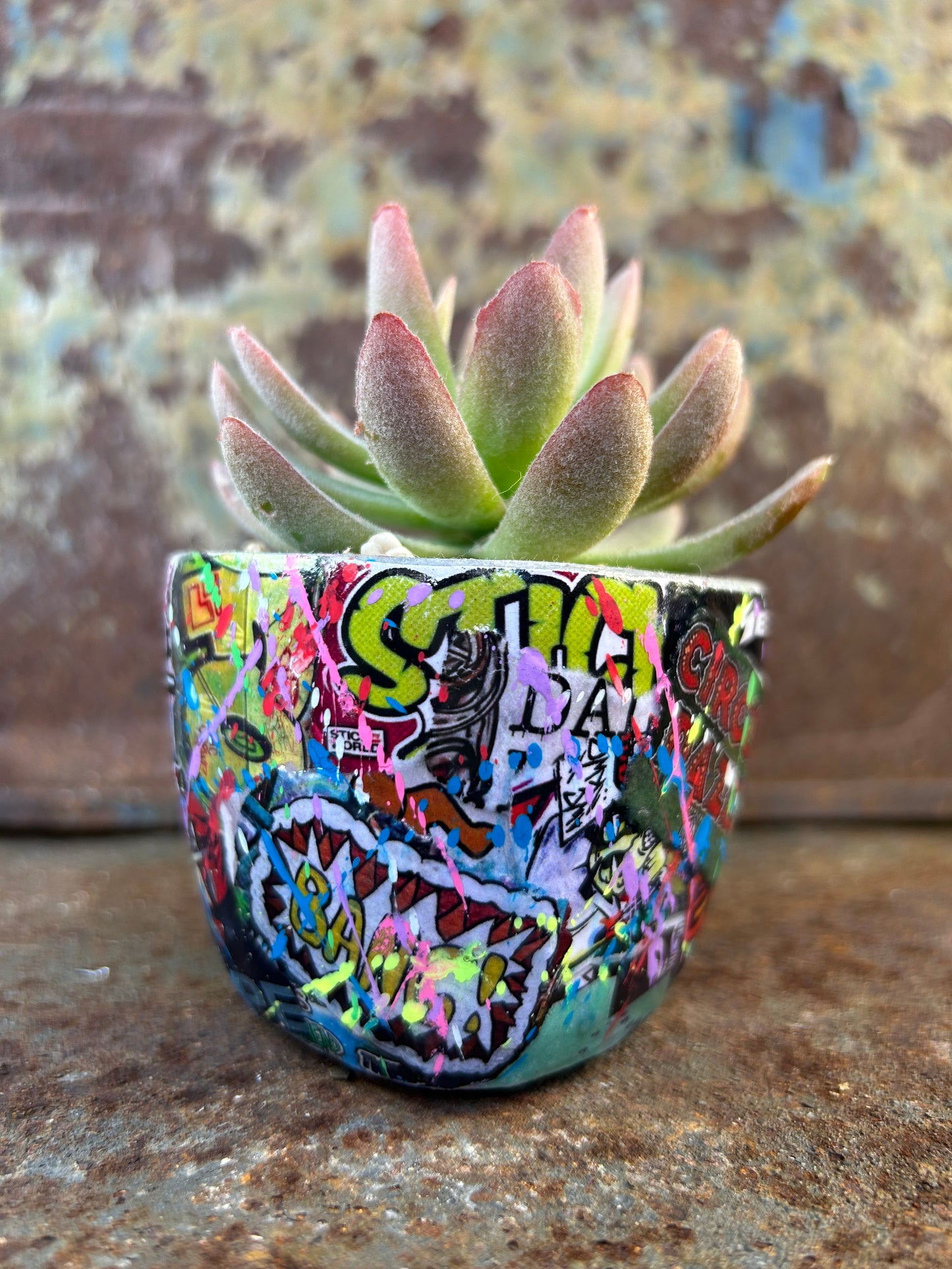 Urban Jungle Mini- Street Art Concrete Pot Plant