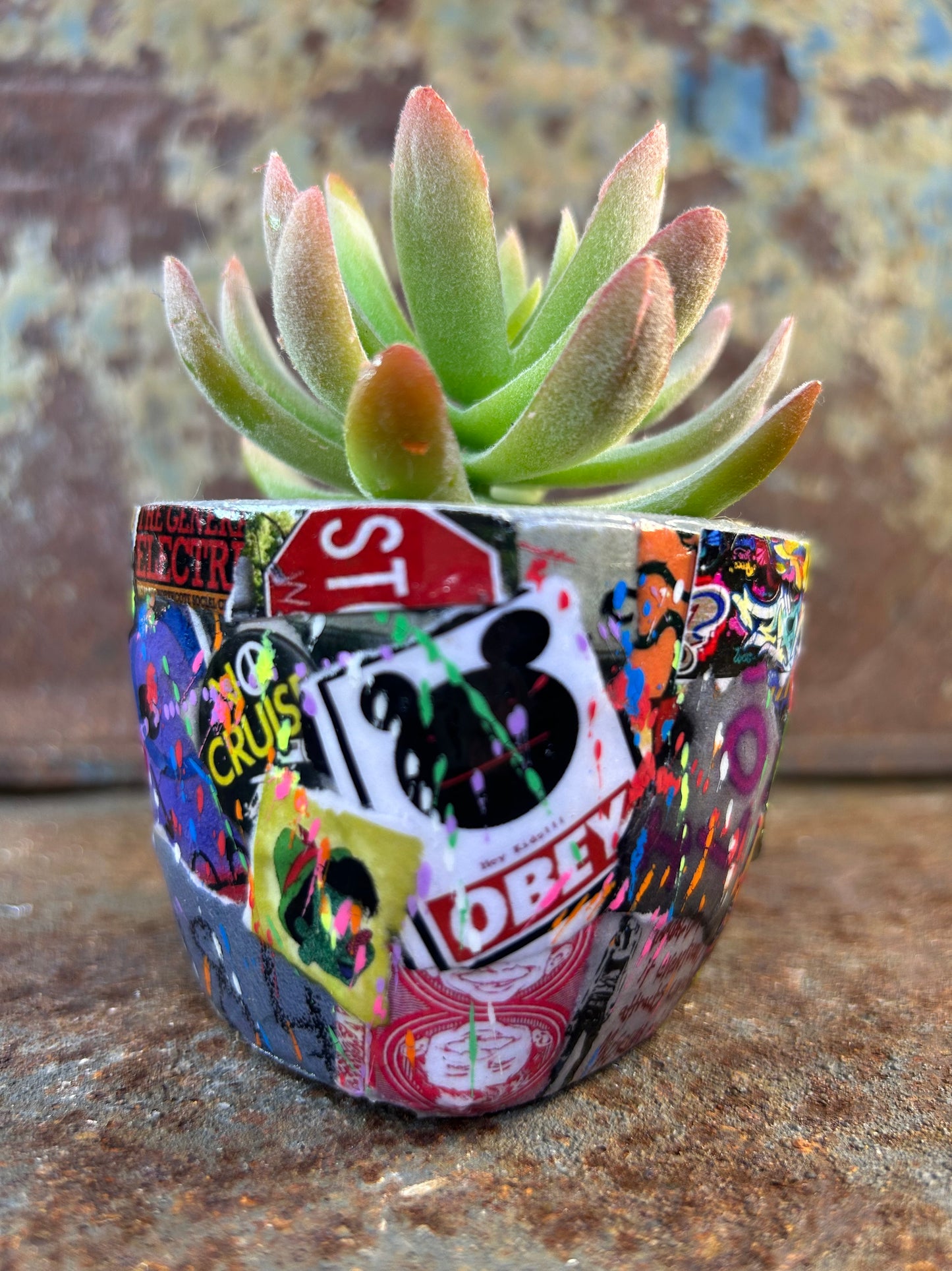 Urban Jungle Mini- Street Art Concrete Pot Plant