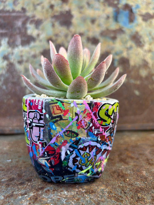 Urban Jungle Mini- Street Art Concrete Pot Plant