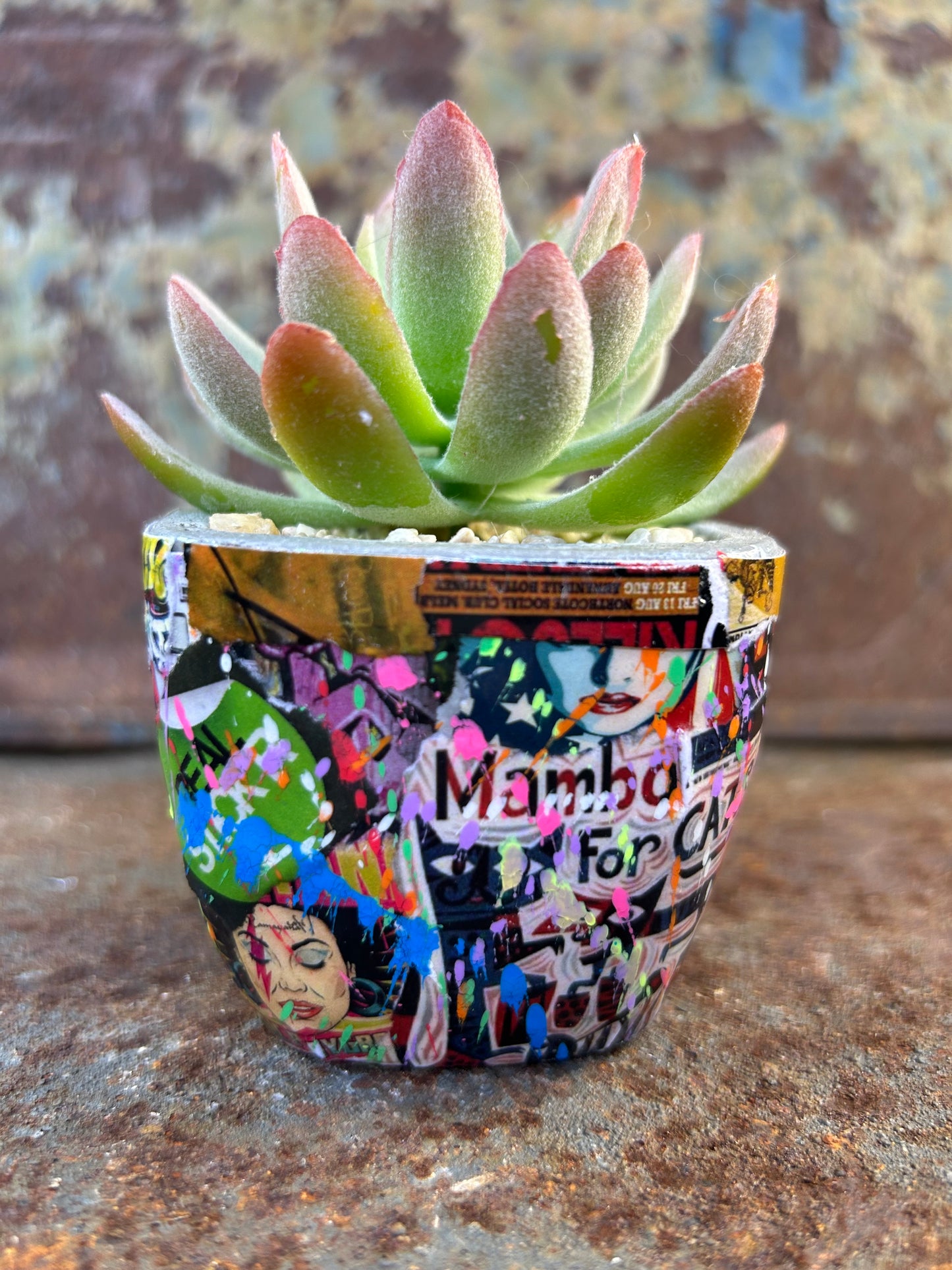 Urban Jungle Mini- Street Art Concrete Pot Plant