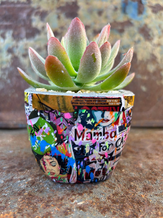 Urban Jungle Mini- Street Art Concrete Pot Plant
